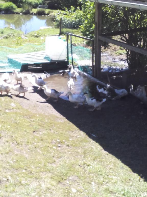 Ferme Auberge A La Colline Ferdrupt Dış mekan fotoğraf