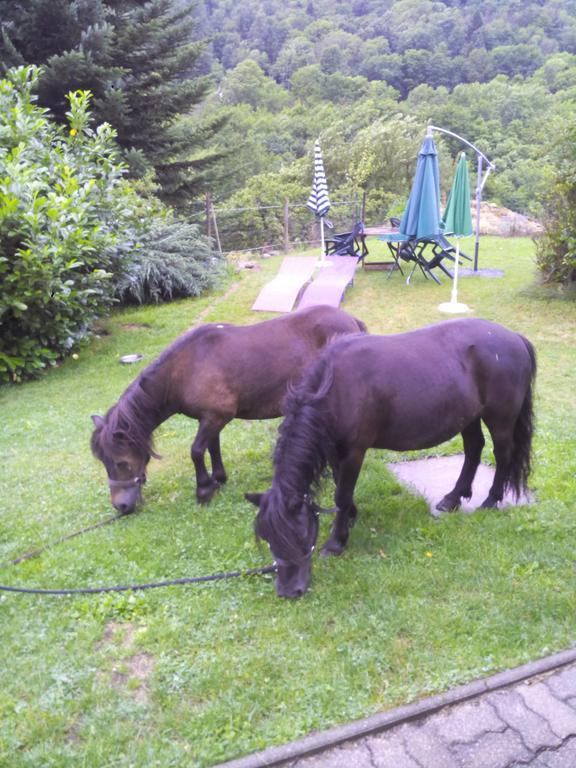 Ferme Auberge A La Colline Ferdrupt Dış mekan fotoğraf