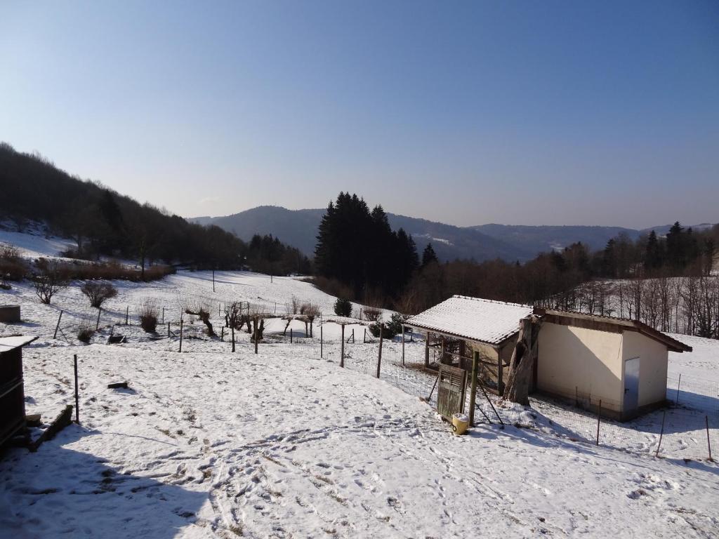 Ferme Auberge A La Colline Ferdrupt Dış mekan fotoğraf