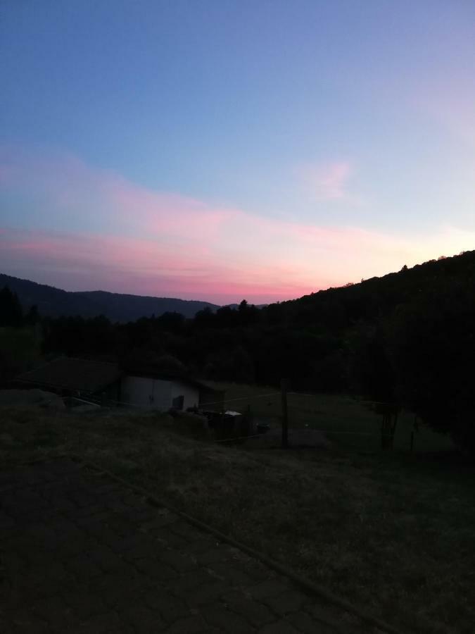 Ferme Auberge A La Colline Ferdrupt Dış mekan fotoğraf