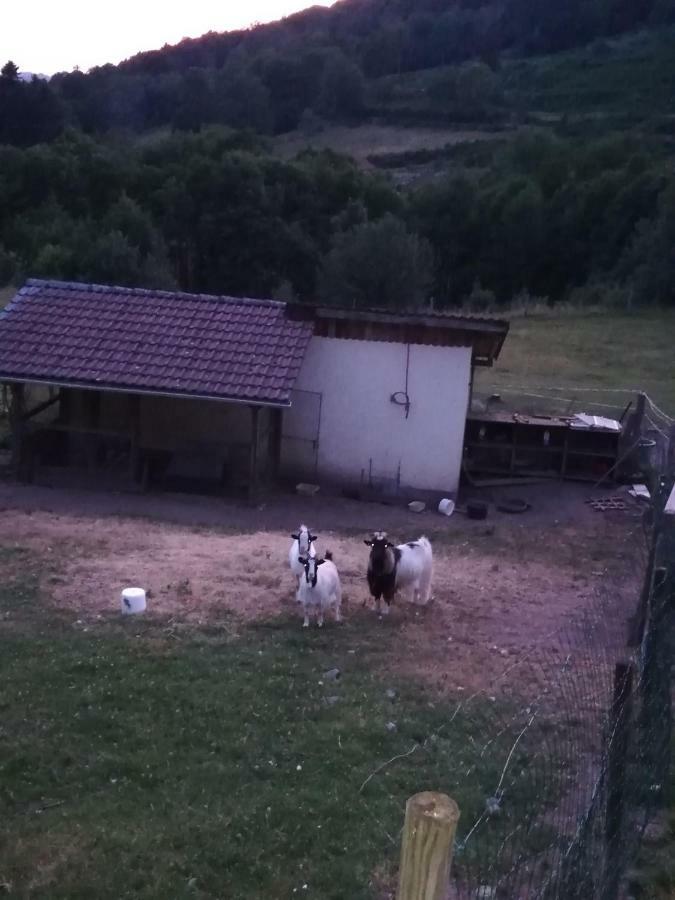 Ferme Auberge A La Colline Ferdrupt Dış mekan fotoğraf